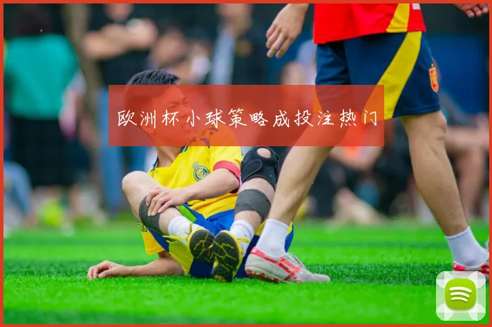 欧洲杯小球策略成投注热门