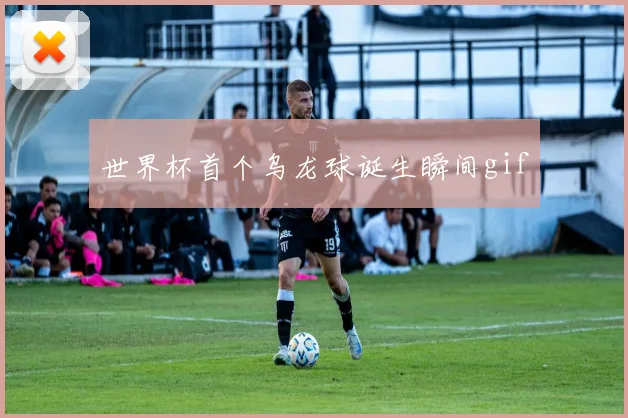 世界杯首个乌龙球诞生瞬间gif
