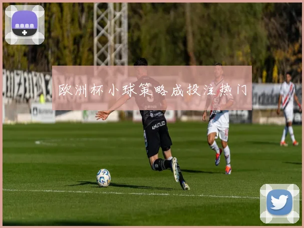 欧洲杯小球策略成投注热门