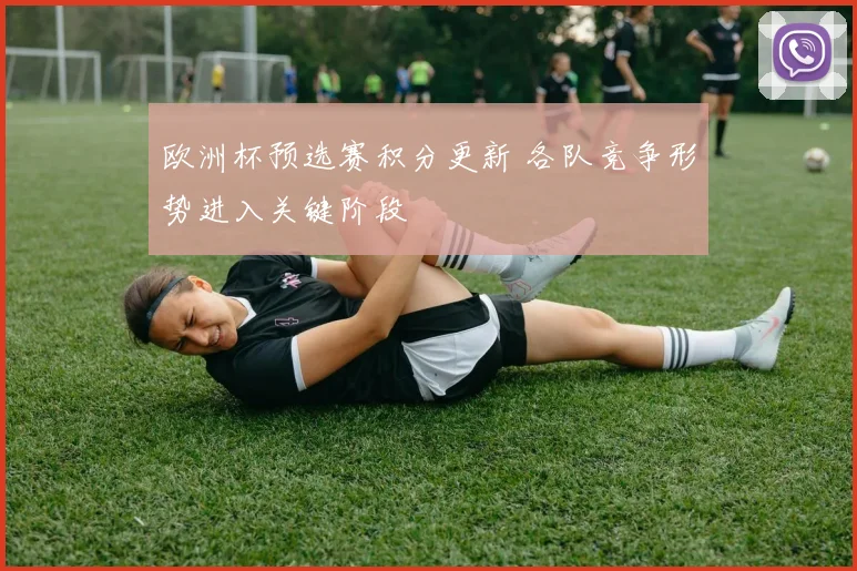 欧洲杯预选赛积分更新 各队竞争形势进入关键阶段